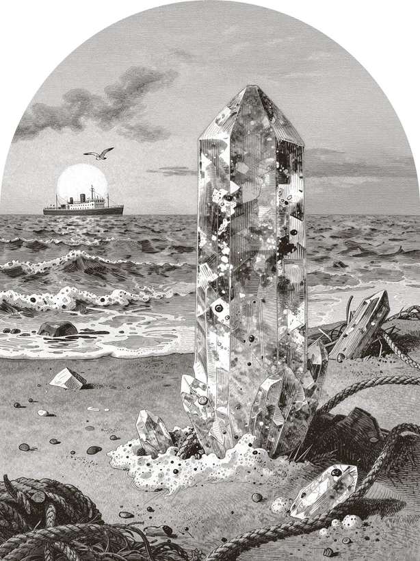 Plate for FINIS